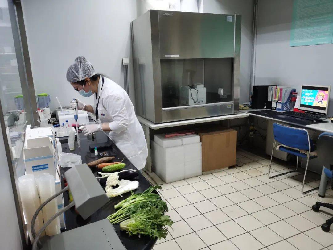 济宁食品检测实验室装修方案